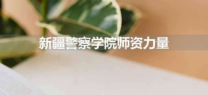 新疆警察学院师资力量