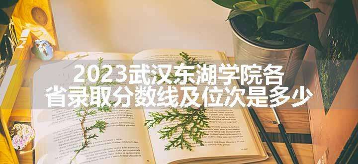 2023武汉东湖学院各省录取分数线及位次是多少