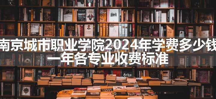 南京城市职业学院2024年学费多少钱 一年各专业收费标准