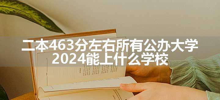 二本463分左右所有公办大学 2024能上什么学校