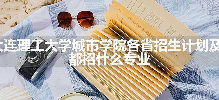 2024年大连理工大学城市学院各省招生计划及招生人数 都招什么专业