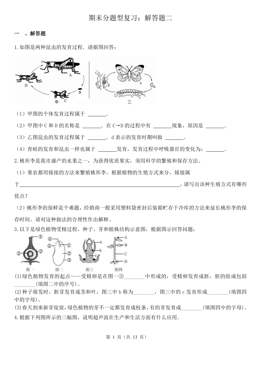 七年级下册期末分题型复习：解答题二（含解析）