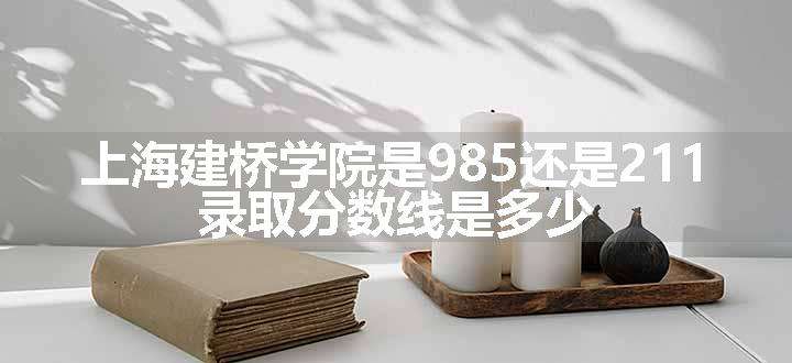 上海建桥学院是985还是211 录取分数线是多少