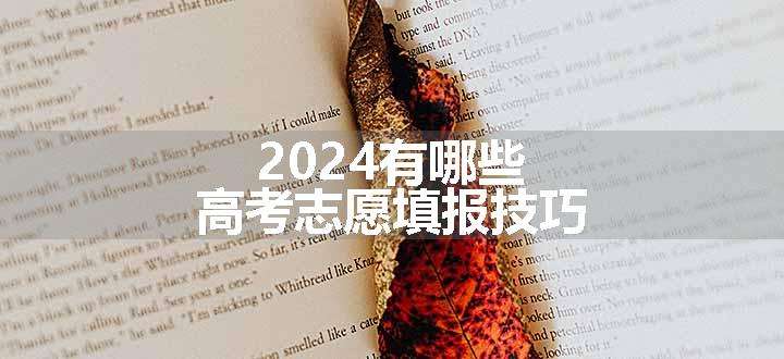 2024有哪些高考志愿填报技巧