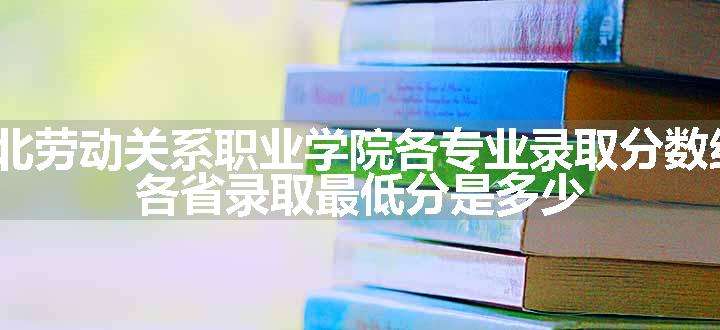 2024河北劳动关系职业学院各专业录取分数线及位次 各省录取最低分是多少