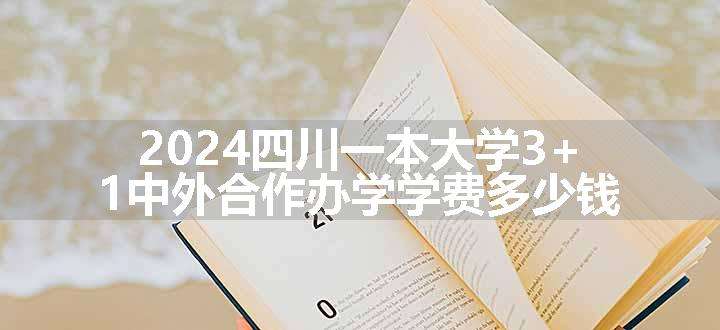 2024四川一本大学3+1中外合作办学学费多少钱