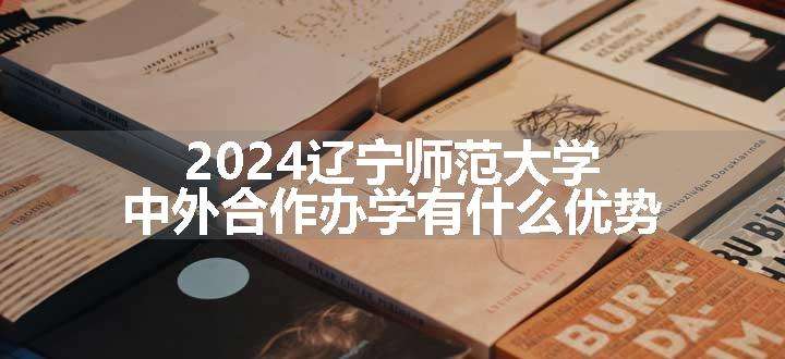 2024辽宁师范大学中外合作办学有什么优势