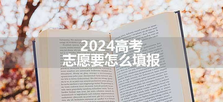 2024高考志愿要怎么填报