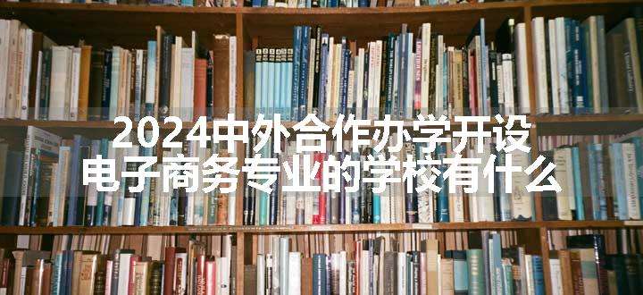 2024中外合作办学开设电子商务专业的学校有什么