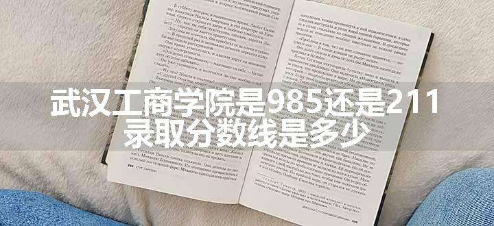 武汉工商学院是985还是211 录取分数线是多少