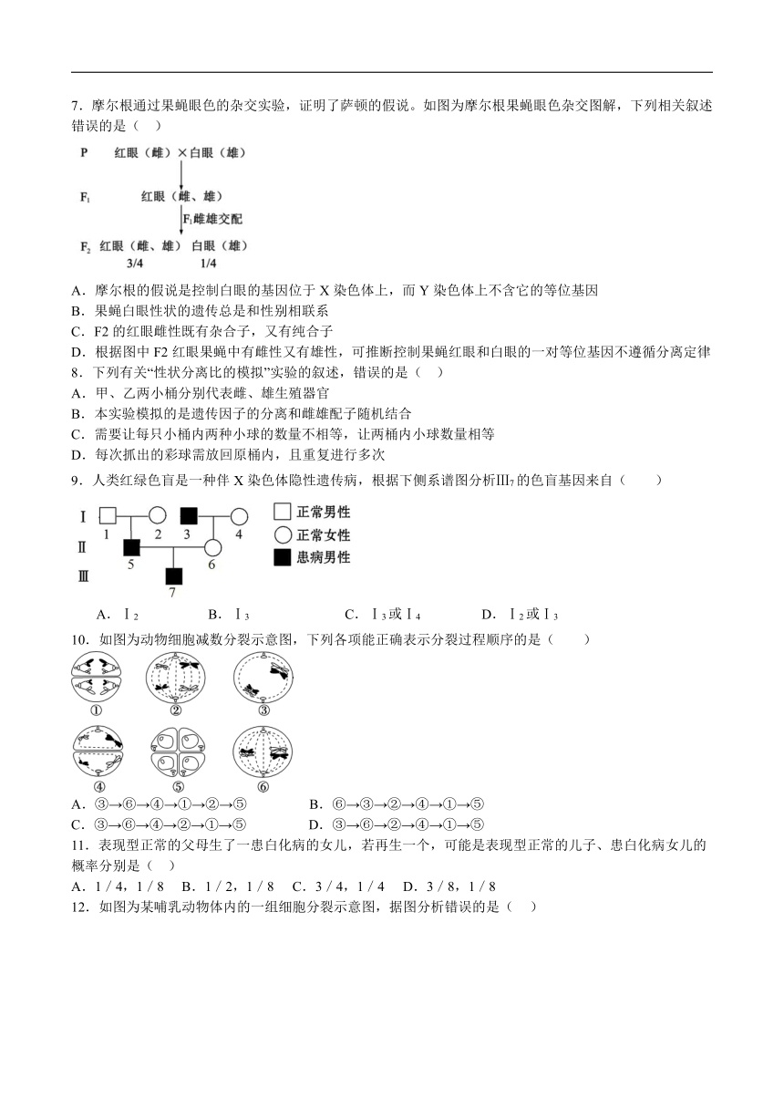 青海省西宁市第十四中学2023-2024学年高一下学期6月月考生物试卷（有答案）