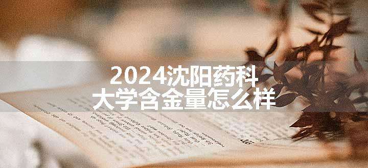 2024沈阳药科大学含金量怎么样