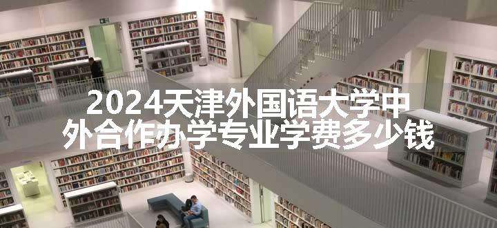 2024天津外国语大学中外合作办学专业学费多少钱