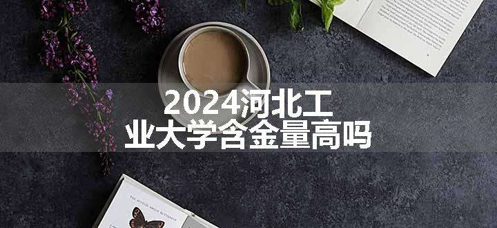 2024河北工业大学含金量高吗