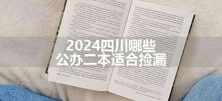 2024四川哪些公办二本适合捡漏