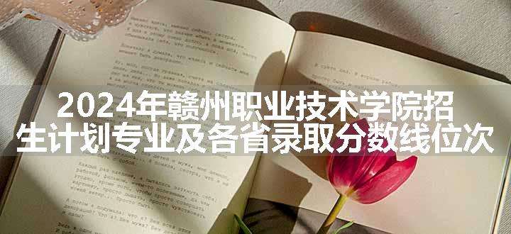 2024年赣州职业技术学院招生计划专业及各省录取分数线位次