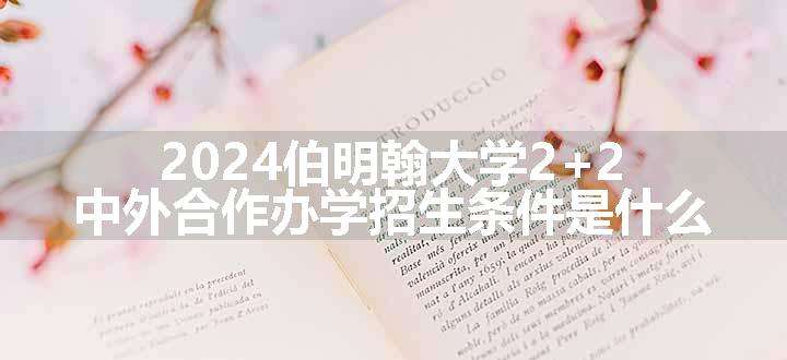 2024伯明翰大学2+2中外合作办学招生条件是什么