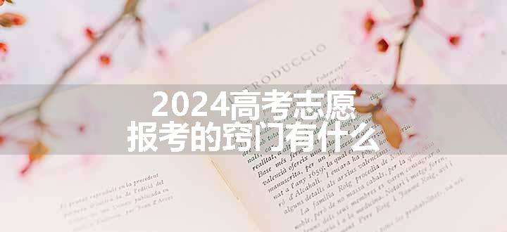 2024高考志愿报考的窍门有什么