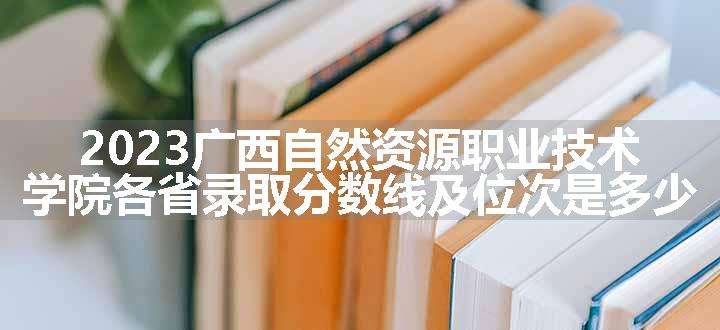 2023广西自然资源职业技术学院各省录取分数线及位次是多少