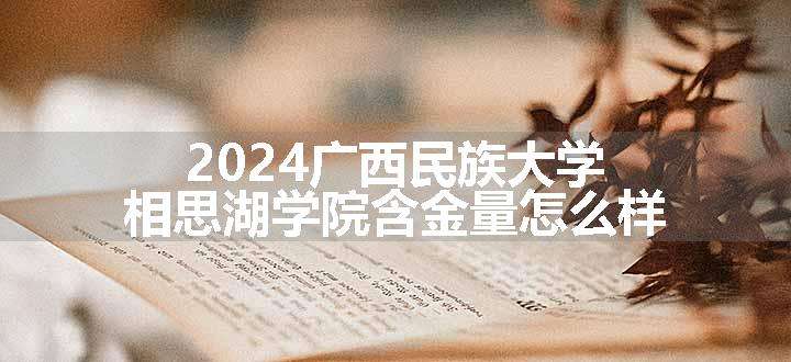 2024广西民族大学相思湖学院含金量怎么样