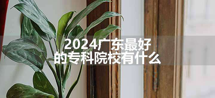 2024广东最好的专科院校有什么