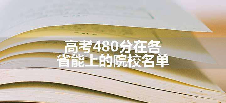 高考480分在各省能上的院校名单