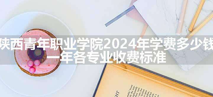 陕西青年职业学院2024年学费多少钱 一年各专业收费标准