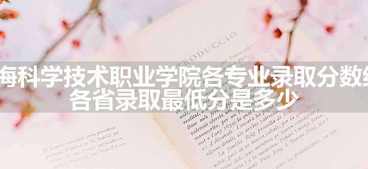 2024上海科学技术职业学院各专业录取分数线及位次 各省录取最低分是多少