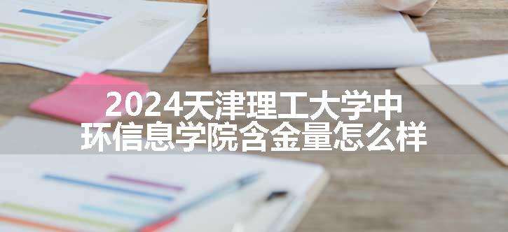 2024天津理工大学中环信息学院含金量怎么样