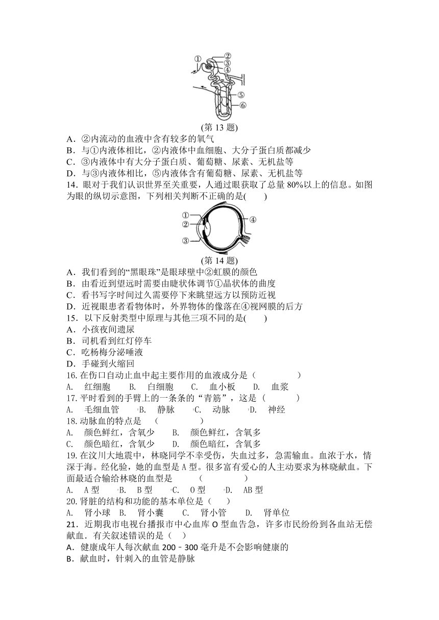 2023-2024学年人教版生物学七年级下册期末复习训练题（含答案）