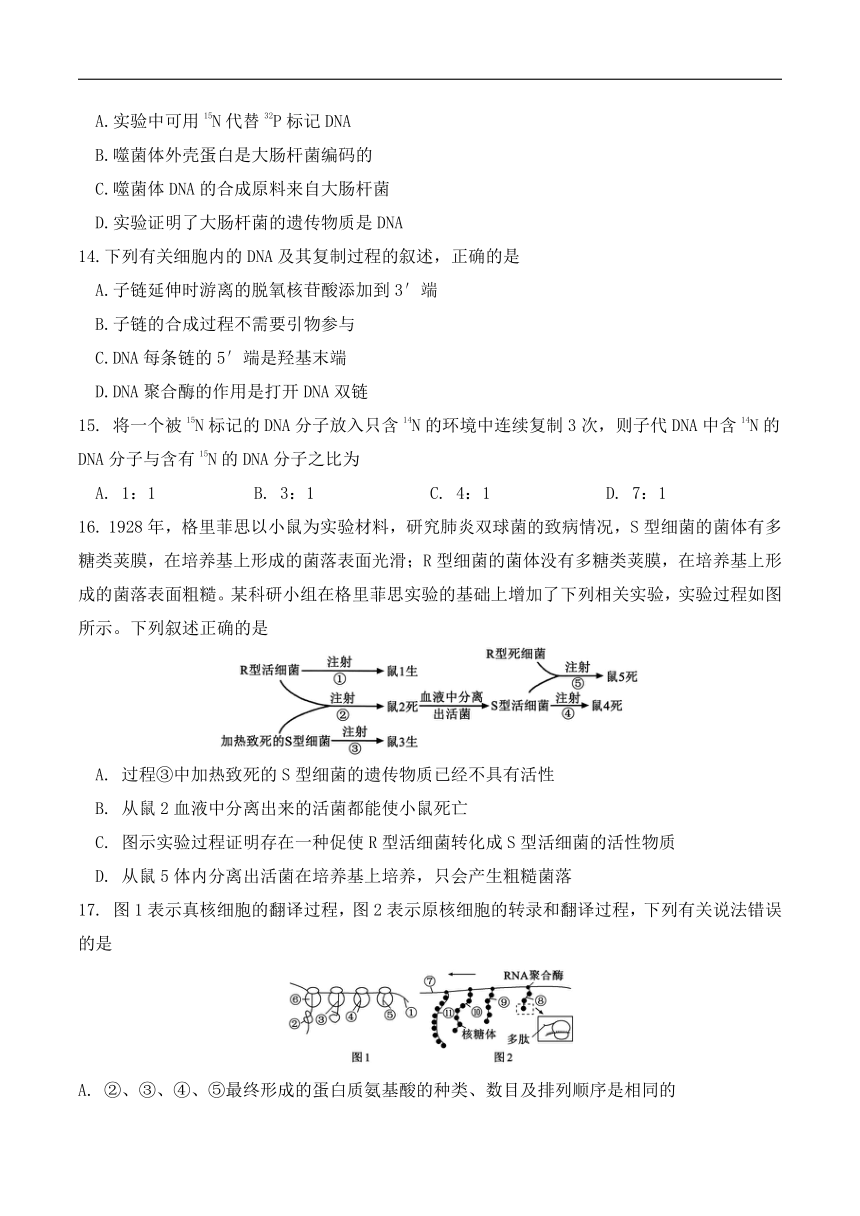 四川省眉山市东坡区2023-2024学年高一下学期期中考试生物试卷（含答案）