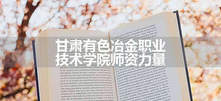 甘肃有色冶金职业技术学院师资力量