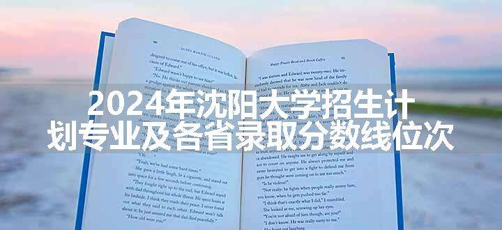 2024年沈阳大学招生计划专业及各省录取分数线位次