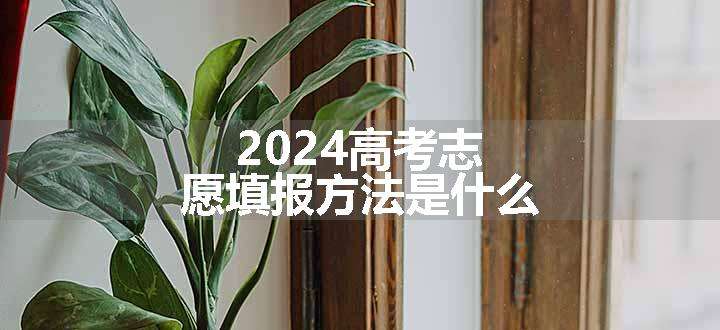 2024高考志愿填报方法是什么