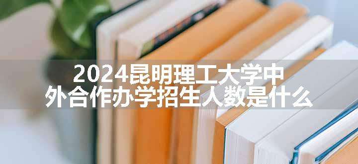 2024昆明理工大学中外合作办学招生人数是什么