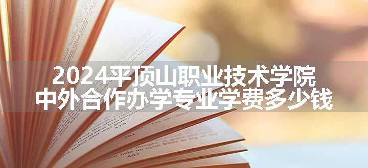 2024平顶山职业技术学院中外合作办学专业学费多少钱