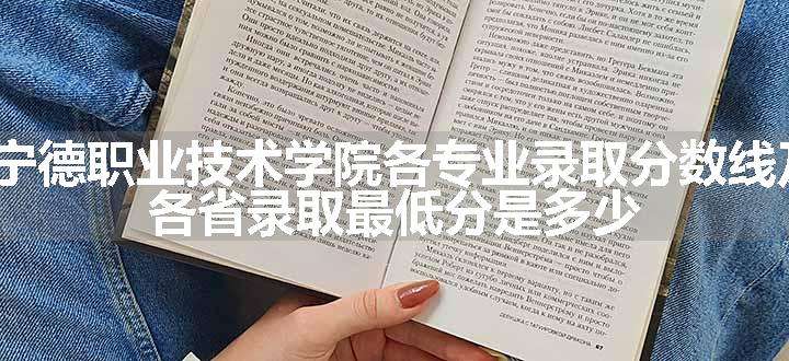 2024宁德职业技术学院各专业录取分数线及位次 各省录取最低分是多少