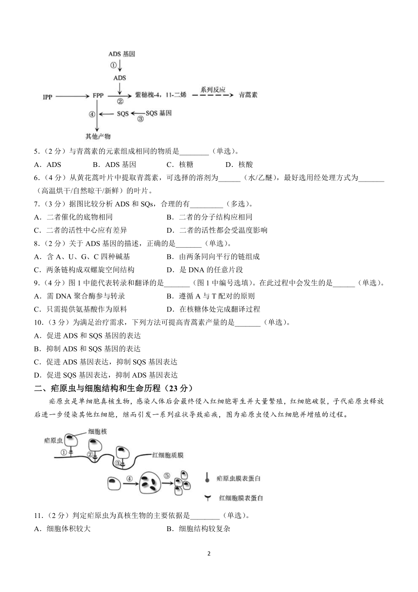 上海市宝山区2023-2024学年高二下学期期末教学质量监测生物学试卷（含答案）