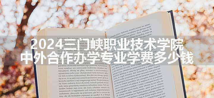 2024三门峡职业技术学院中外合作办学专业学费多少钱