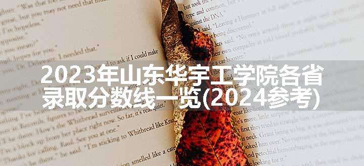 2023年山东华宇工学院各省录取分数线一览(2024参考)