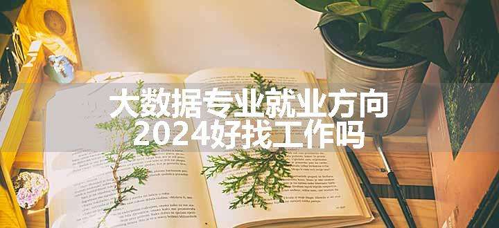 大数据专业就业方向 2024好找工作吗