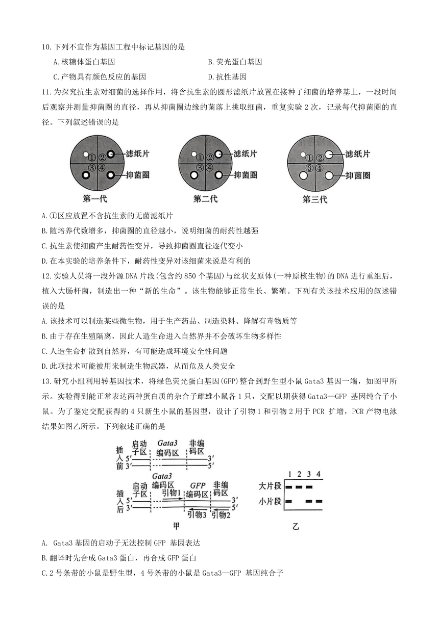 河南省百师联盟联考2023-2024学年高二下学期6月月考生物试题（有解析）