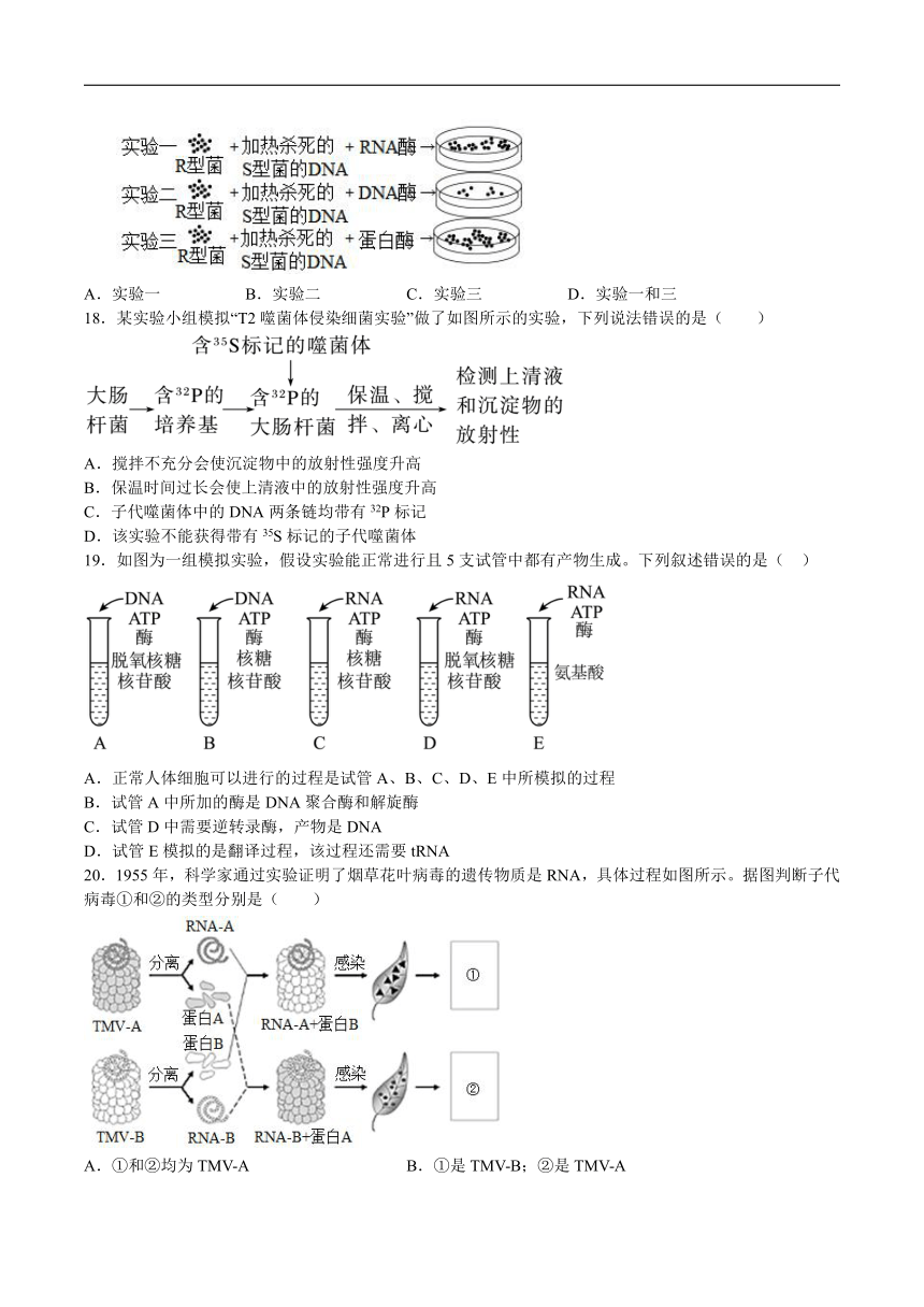 青海省西宁市第十四中学2023-2024学年高一下学期6月月考生物试卷（有答案）