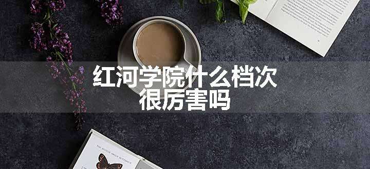 红河学院什么档次 很厉害吗