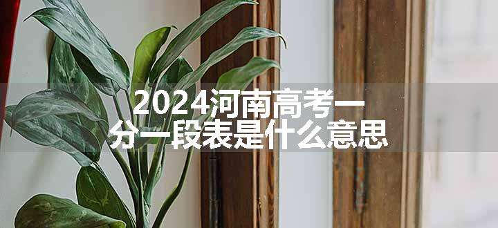 2024河南高考一分一段表是什么意思