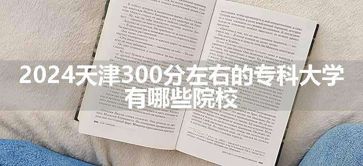 2024天津300分左右的专科大学 有哪些院校