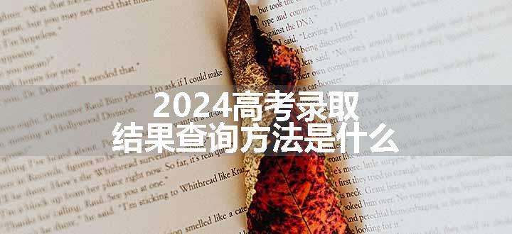 2024高考录取结果查询方法是什么