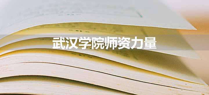 武汉学院师资力量