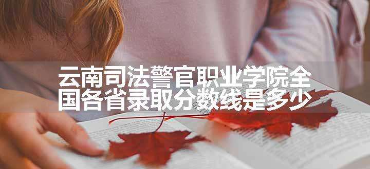 云南司法警官职业学院全国各省录取分数线是多少