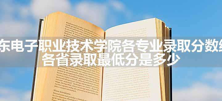 2024山东电子职业技术学院各专业录取分数线及位次 各省录取最低分是多少